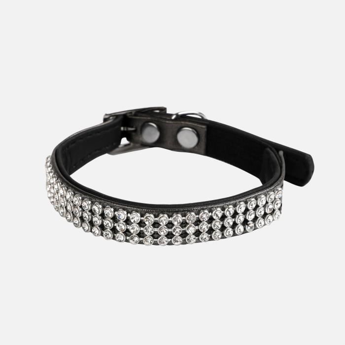 ملائم زاوية إجماع Collier Chien Male Balestron Com ملائم زاوية إجماع Collier Chien Male Balestron Com