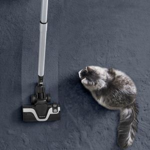 Animal Care Pro Prix Rowenta, Aspirateur Sans Sac Puissant Et