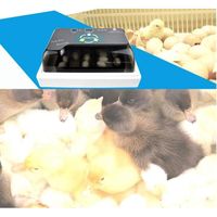 Professionnel 12 oeufs Digital d'incubateur pour poulet volaille de poulet