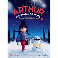 Arthur Et La Magie De Noël [DVD]
