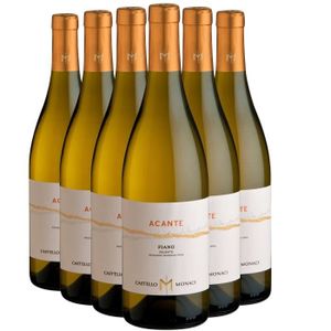 VIN BLANC Salento Acante Fiano Blanc 2022 - Lot de 6x75cl - 