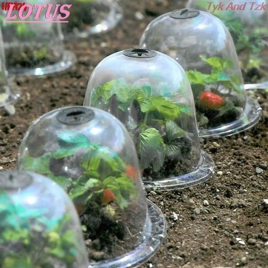 Mini Serre/Cloche De Jardin 60x60x60 Cm – Protection Anti-Gel Pour Tomates, Légumes & Plantes Extérieur