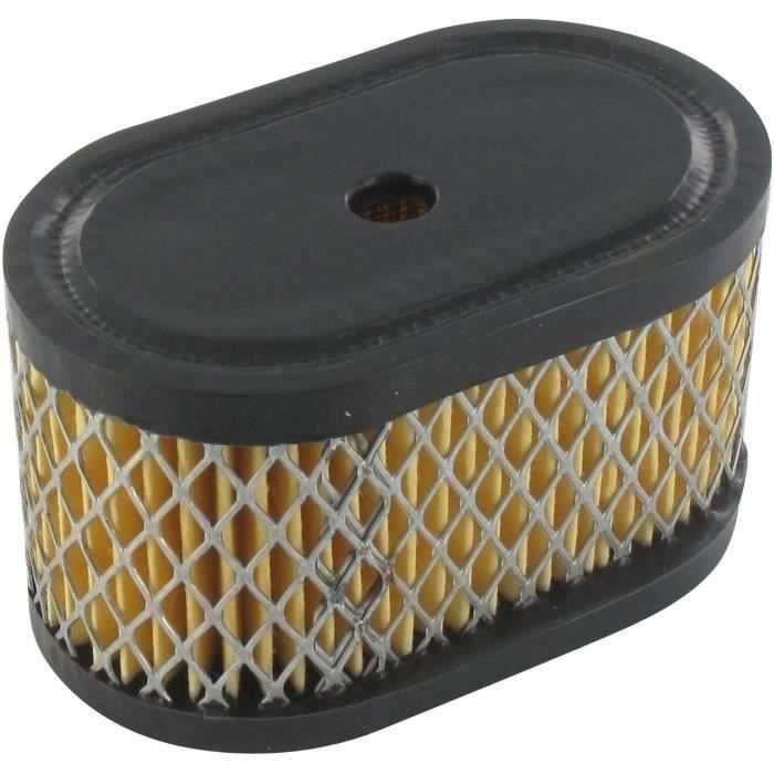 Filtre à air BRIGGS ET STRATTON 494586 - 497725