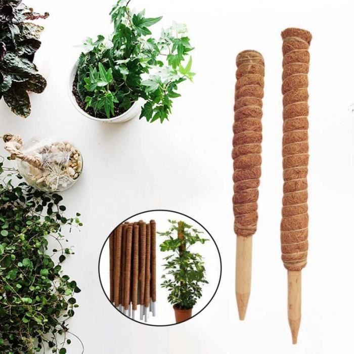 Tuteur Plante Grimpante 120cm Coco - Support Monstera Bâton Noix De Coco Flexible