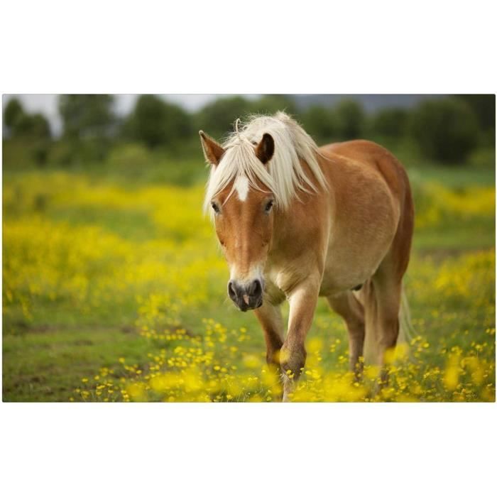Puzzle 1000 Pièces Gorille – En Bois, 50x75 Cm, Pour Ados Et Adultes Dès 12 Ans