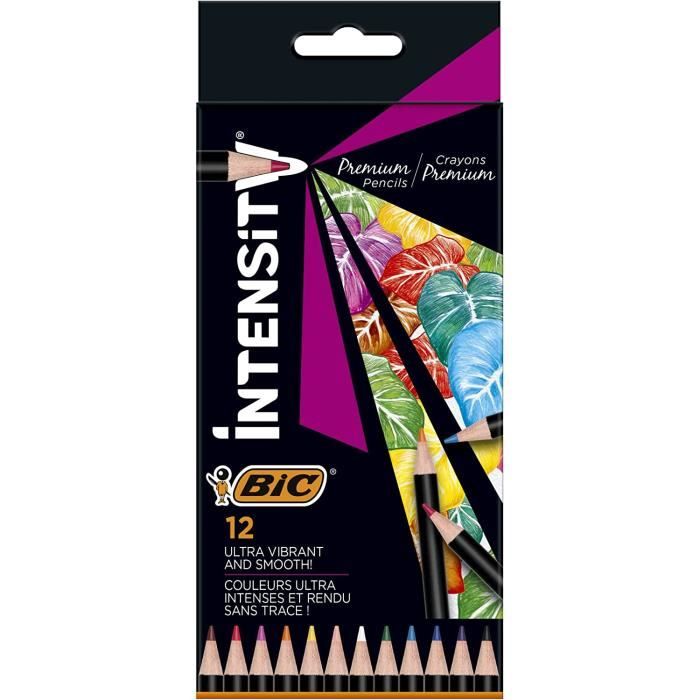 Crayons De Couleur BIC Intensity Lot De 24 - Mines Résistantes 3.2mm, Forme Triangulaire - Fabriqué En France
