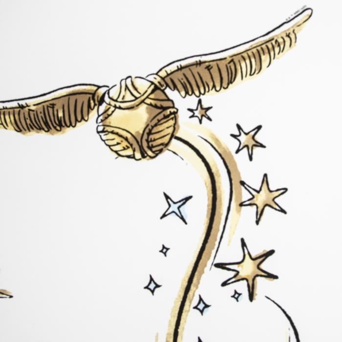 Dessin Harry Potter Vif D Or Harry Potter Vif d'or Quidditch Beige - Papier peint - 1000x52 cm
