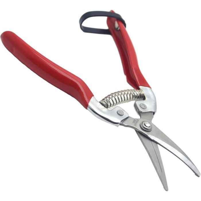 Cisailles Pied Pour Mouton Cheval Sabot - Sécateur Multi-Usage Acier Carbone 21cm