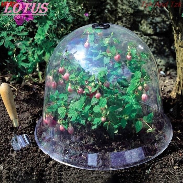 Housse De Protection En Métal Pour Plantes | 5 Cloches De Jardin Pour Plantes | Cloche De Protection En Fil De Poulet | Protection De Jardin Contre Les Animaux, Pour éviter Que