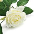 Tempsa 1 X 2 M Guirlande De Rose Blanche Artisanat Fleur De Soie Achat Vente Banderole Banniere Cdiscount Tempsa 1 X 2 M Guirlande De Rose Blanche Artisanat Fleur De Soie Achat Vente Banderole Banniere Cdiscount