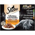 Sheba Sauces Gourmandes - Barquettes pour chat adulte, Coffret traiteur, 72 barquettes de 85g 381383-0