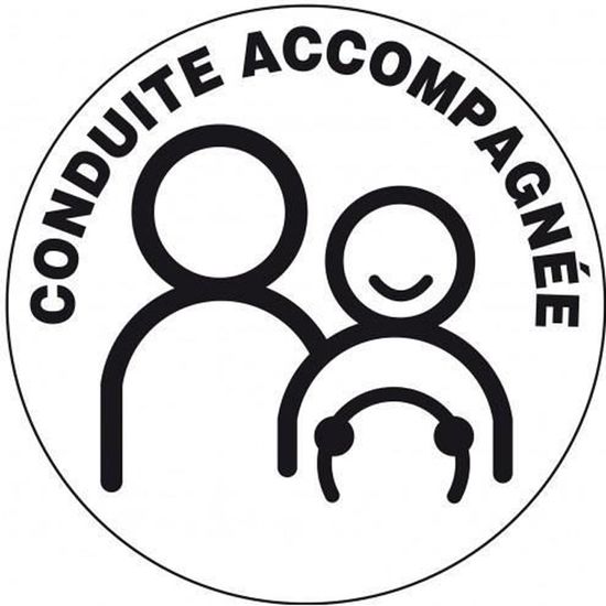 Disque conduite accompagnée électrostatique - Feu Vert, disque conduite accompag Disque conduite accompagnée électrostatique - Feu Vert, disque conduite accompag