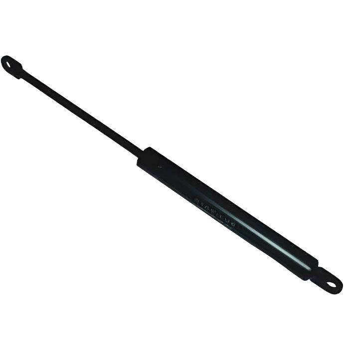 C00136997. VERIN DE PORTE 300N