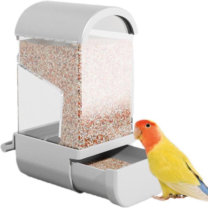 Mangeoire automatique pour perroquets - mangeoire sans lumière - support et accessoire pour cage de perruches pinsons