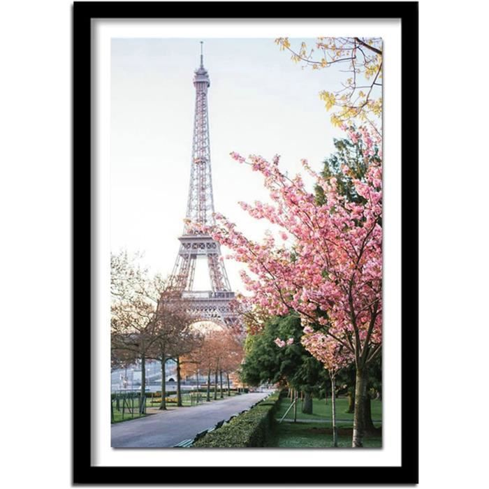 Kit Peinture Diamant 5D - Fleur Coquelicot - Toile 30x40cm - Loisir Créatif DIY - Déco Salon Et Chambre