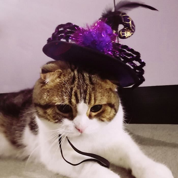 Accessoires Chat Et Chien Chien Chat Chapeau D Araignee De Halloween Hat Fashion Dog Hat Cosplay Cjj Kit542 Achat Vente Jouet Accessories Pets Pet Cdiscount Accessoires Chat Et Chien Chien Chat Chapeau D Araignee De Halloween Hat Fashion Dog Hat Cosplay Cjj Kit542 Achat Vente Jouet Accessories Pets Pet Cdiscount