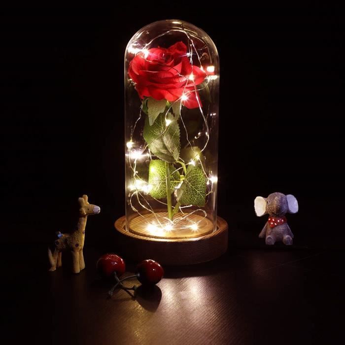 Rose Eternelle avec LED, Cloche et Rose Fleur Artificielle, Guirlande  Lumineuse LED à Piles Pétales de Rose en Soie, avec Dôme en V - Cdiscount  Maison