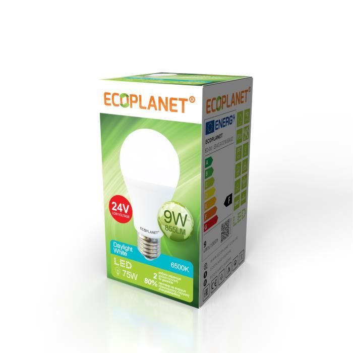 Ampoule LED BASSE TENSION 24V A60, 9W (75W), E27, 810 Lumen, Blanc Froid 6500K, Mat