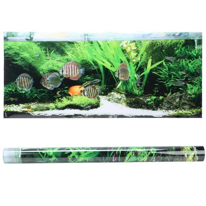 Meilleurs prix pour OMABETA Affiche d'aquarium Autocollant adhésif en PVC pour fonds marins, petites plantes d'eau de animalerie decoration 122*50 cm