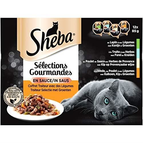 Sheba Sauces Gourmandes - Barquettes pour chat adulte, Coffret traiteur, 72 barquettes de 85g 381383