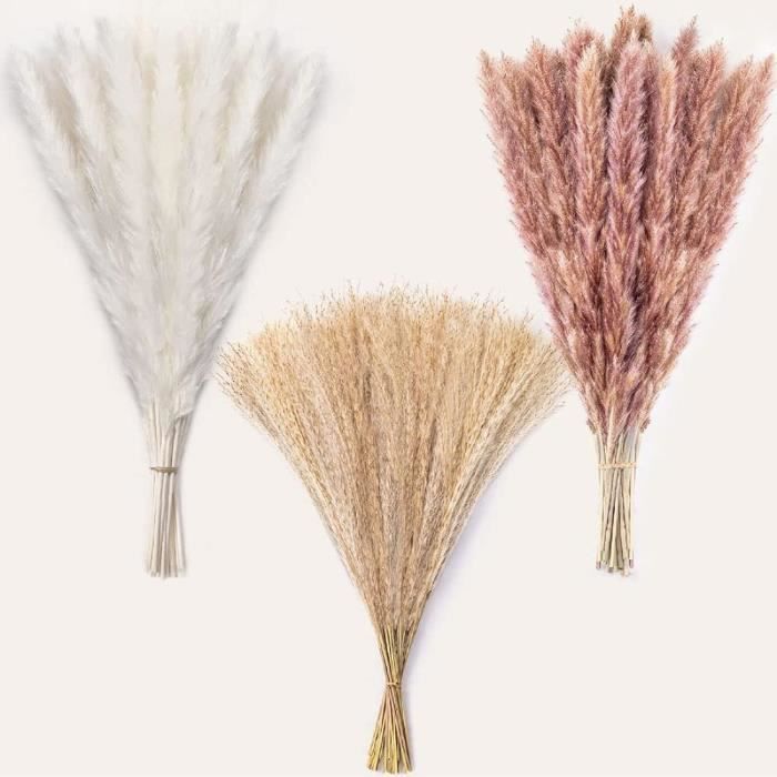 Herbe de la pampa Lot de 60 fleurs séchées naturelles - 45 cm - Bouquet ...