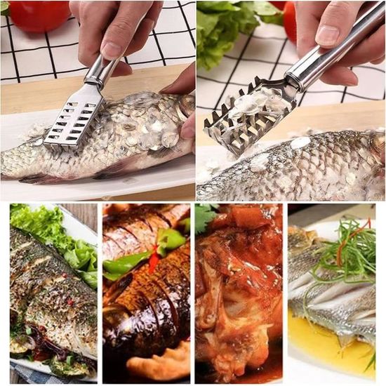 Écailleur à Poisson Professionnel En Acier Inoxydable 304 - Grattoir Multi-fonctions 23 Cm Pour Cuisine Maison Et Pro