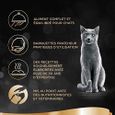 Sheba Sauces Gourmandes - Barquettes pour chat adulte, Coffret traiteur, 72 barquettes de 85g 381383-3