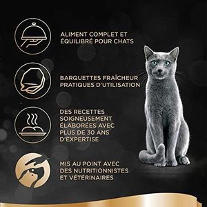 Nourriture Pour Chat Sheba Cdiscount Animalerie Nourriture Pour Chat Sheba Cdiscount Animalerie