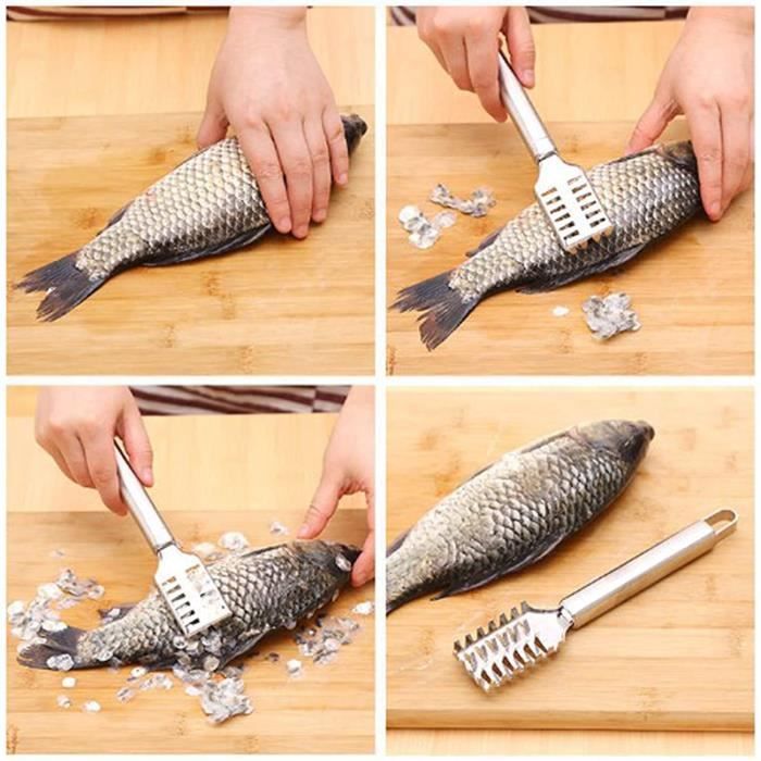 Écailleur Poisson Inox 3CR13 Avec Dents Scie – Grattoir Écailles Robuste Ergonomique, Facile à Nettoyer Cuisine Poissons