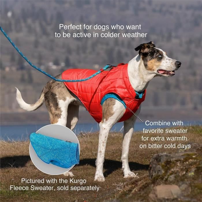 Manteau pour chien beige avec harnais intégré - Boutique chien