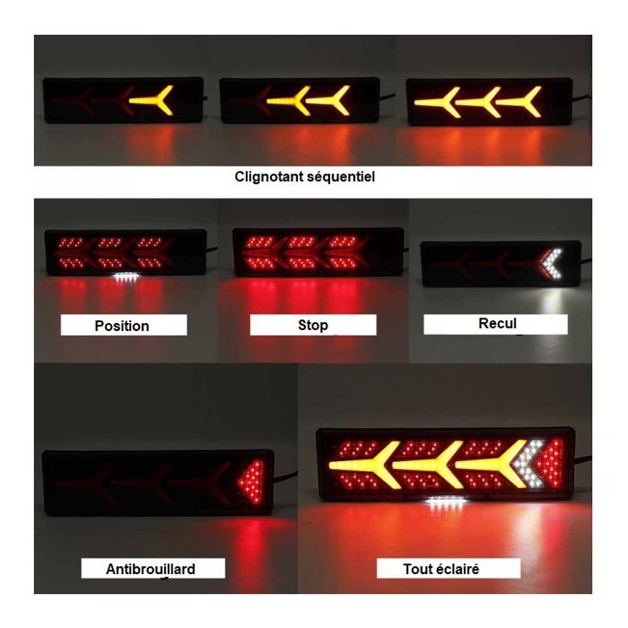 Lot de 2 feux arrière LED 12 V/24 V clignotants dynamiques