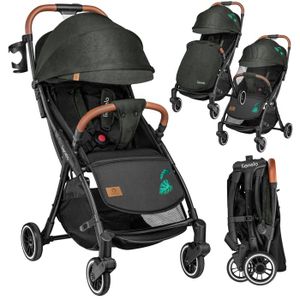 Poussette hot sale stokke cdiscount