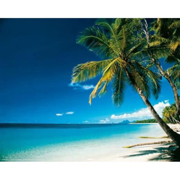 Get Wallpaper Iles Mini Poster Cocotiers Plage 40 X 50 Cm Achat Vente Desktop Wallpaper