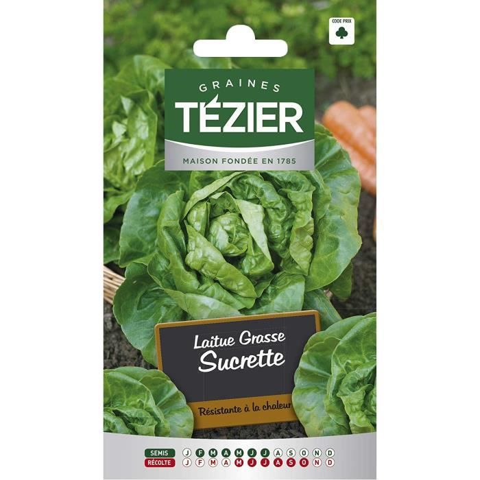 Sachet Graines - Tezier - Laitue Grasse Sucrette (remplace Sucrine) - Sachet légume petit modèle - (Mois de semis de 2 à 7)