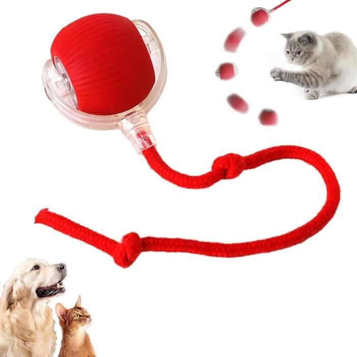 Balle Interactive Pour Chien - Coin Des Malins
