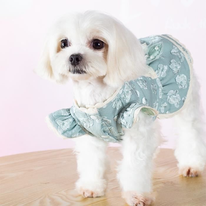 Vêtement chihuahua luxe deals