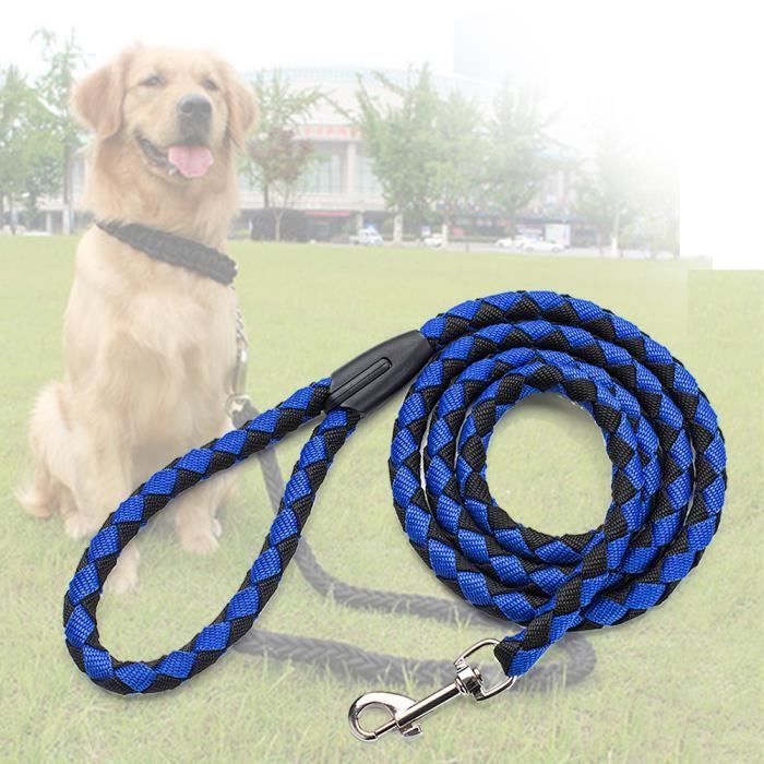 Nylon Chien Laisse 5ft Longue De Marche Chien Corde Fermoir En Métal