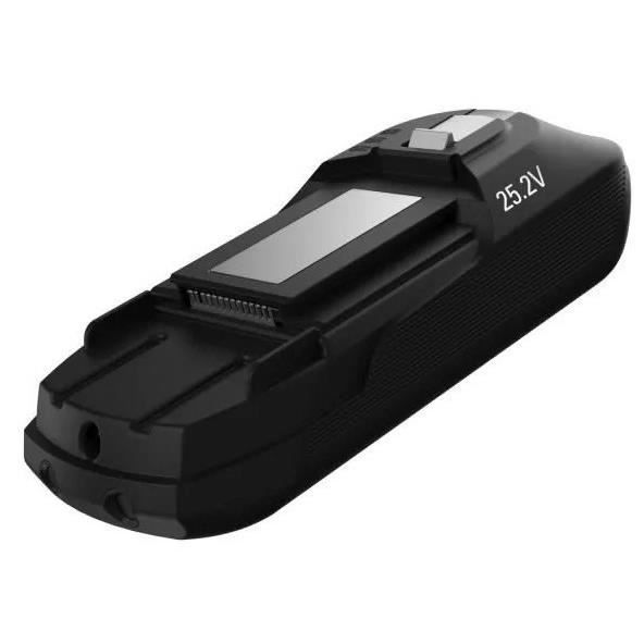 ROWENTA Batterie amovible Lithium-Ion 25,2 V, Autonomie 45 min, Compatible avec les aspirateurs bala