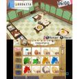 Jeu de simulation Hometown Story - Nintendo 3DS - Natsume - Casual - Cartouche-1
