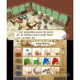 Jeu de simulation Hometown Story - Nintendo 3DS - Natsume - Casual - Cartouche-3