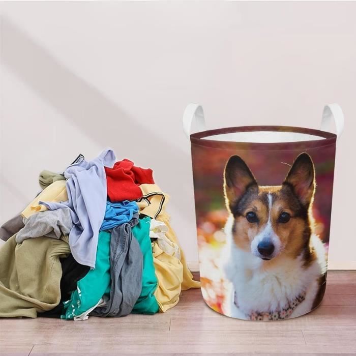 Linge chien cheap