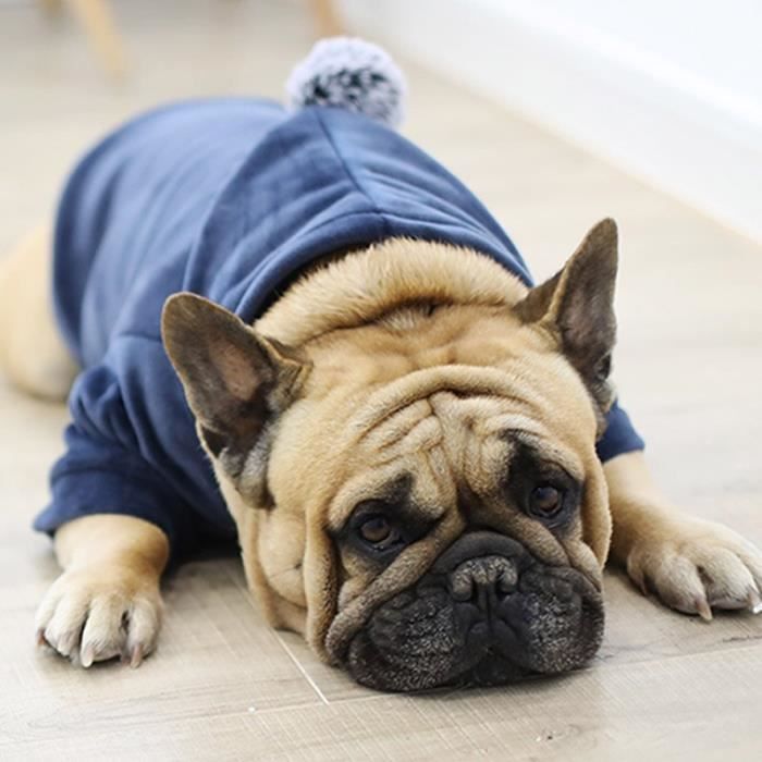 Manteau pour bouledogue anglais outlet