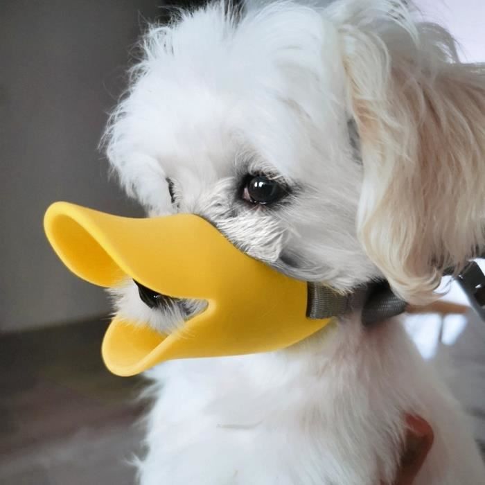 Dog muzzle mask hotsell