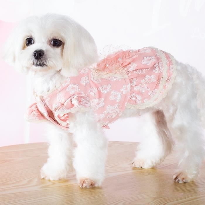 Robe jupe Vetements de luxe pour filles jupe Tutu d hiver Chihuahua York chiot Bichon pomeranien petit chien Type Blue XS Cdiscount