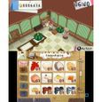 Jeu de simulation Hometown Story - Nintendo 3DS - Natsume - Casual - Cartouche-4