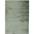 FLANELLE - Tapis extra-doux effet velours 120 x 170 cm Vert clair-0