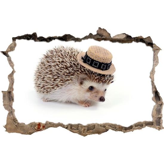 Herisson Mignon Avec Percee De La Paroi Du Chapeau En Regard 3d Le Mur Ou Le Format De L Autocollant De Porte 62x42cm Stickers Cdiscount Maison