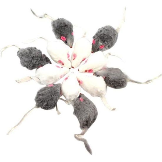 HoveeLuty Fausse Souris 2 pièces 8x2 Pouces Faux Rat Effrayant Souris réaliste avec Longue Queue Multi-usages PVC Plastique Rat pour farces, Jouets