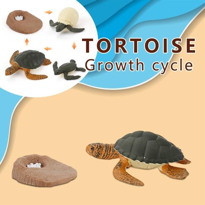 Lot De 2 Fausses Langues Et 2 Faux Doigts - Jouet D'imitation Pour Enfants, Accessoire Magie Ou Déguisement - Plastique Réaliste