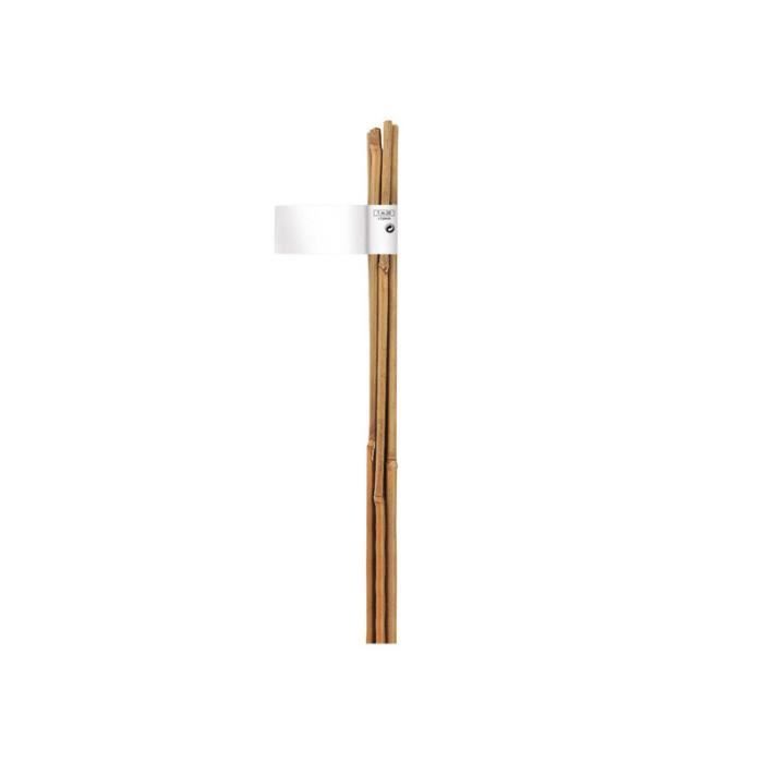 Tuteur Bambou Hauteur : 60cm
